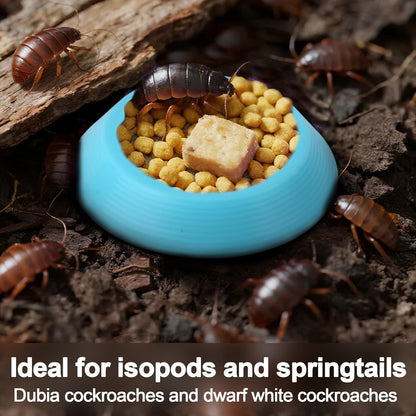 18pcs Reptile Food Dish Bowls, Plastic Colorful Reusable Small Reptile Food Dish Bowls Suitable for Lizard Gecko Frog Pet Tortoise Isopods (6 Colors)