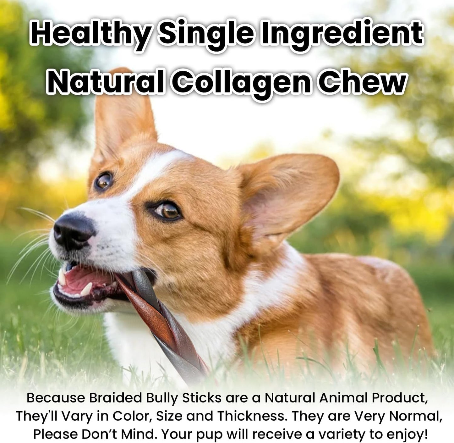 Braided Collagen Sticks for Medium & Large Dogs, 5-6 Inch Beef Collagen Dog Chews Long Lasting, Dog Treats for Aggressive Chewers & Bully Stick Alternative