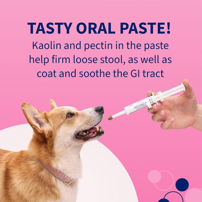 Nutramax Proviable Probiotics for Dogs, Diarrhea Support Kit, Digestive Health Supplement with Multiple Strains of Bacteria, Plus Prebiotics, Kaolin and Pectin, 30 ml Paste and 10 Capsules