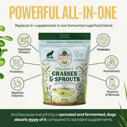 Gussy's Gut Youthful Grasses & Sprouts Dog Gut & Digestive Health Supplement- Human Grade Fermented Ingredients- Super Greens, Pre/Post & Probiotic All in One - Maintain Protocol
