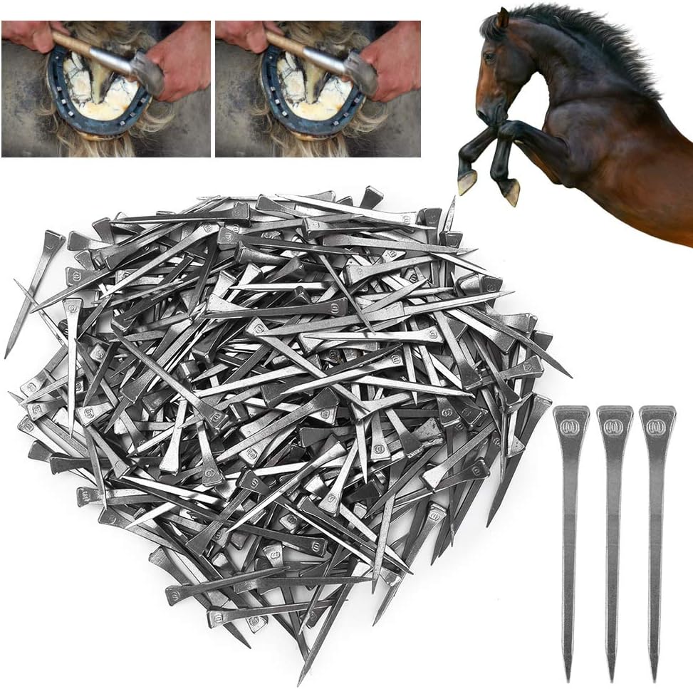 250PCS E6 Horseshoe Nails, Steel Hoof Pegs Horseshoe Nails with Good Elasticity for Horse Training, Secure Firmly, High Tensile Strength Farrier Tools, Lightweight