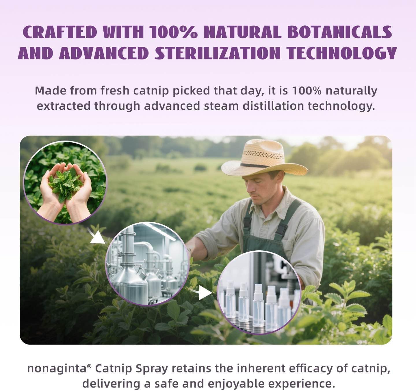 Catnip Spray for Cats, 100% Natural Catnip Mist Spray for Cats & Kittens, Relieves Stress, Calming, Safe for Pets - 2 Fl Oz