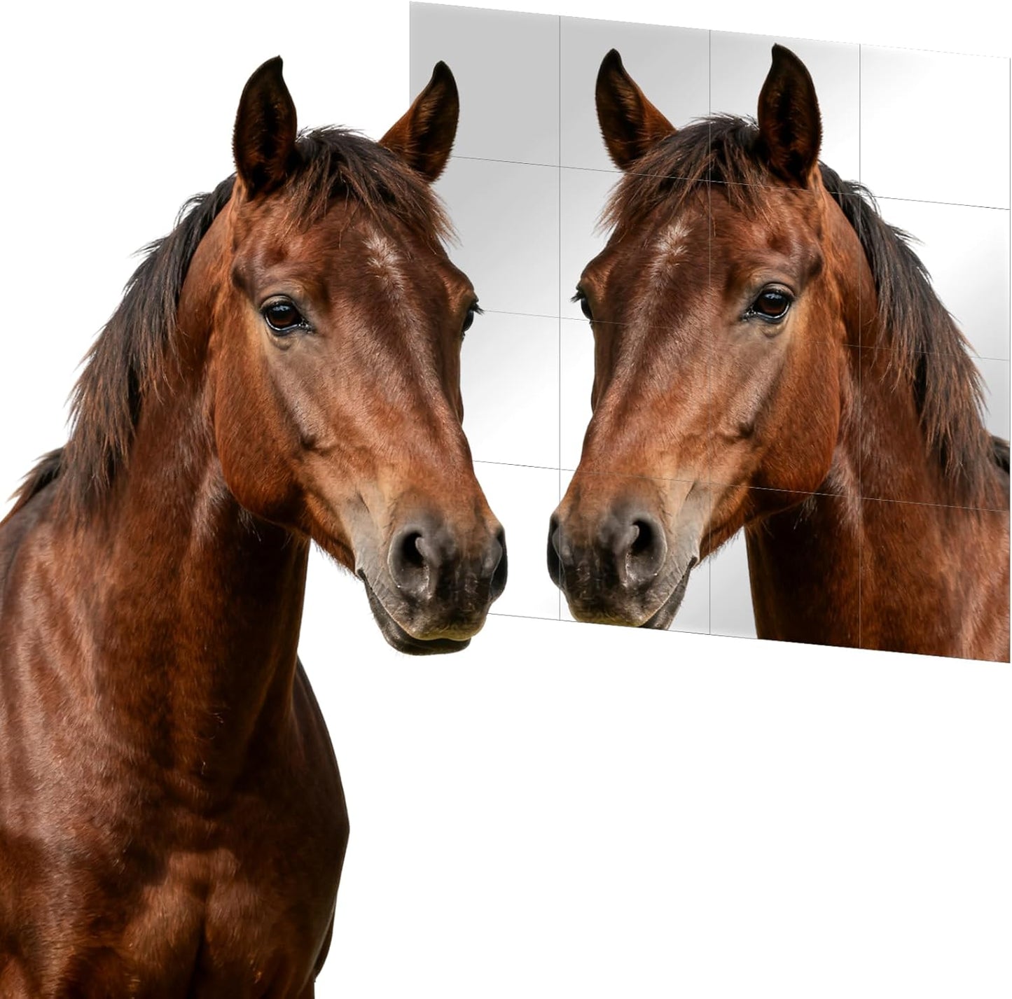 16 PCS Horse Mirror Sticker Soft Safe Non Glass Horse Toys for Horses to Play and Stable Barn Stall Toy Entertainment(6inch*6inch)