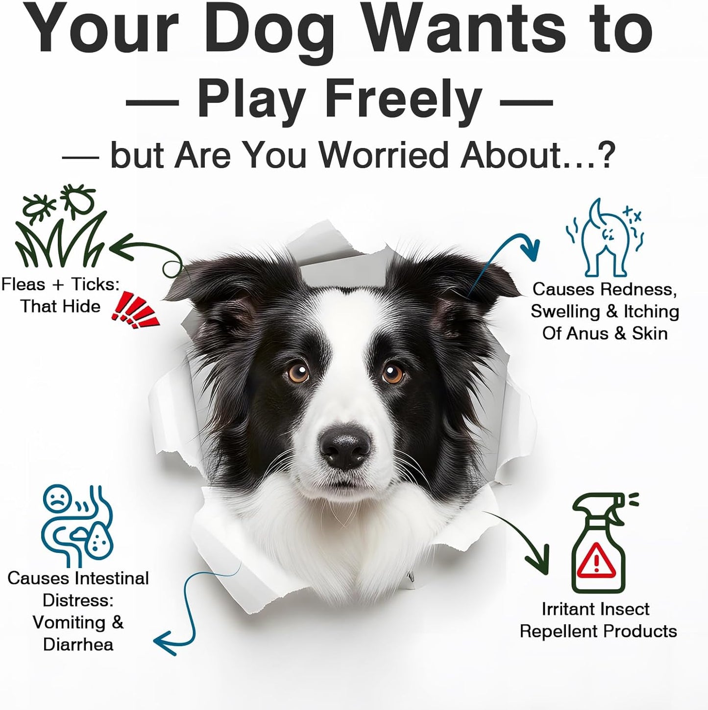 Dog Flea and Tick Treatment Chewables for Dogs Natural Chewable Flea and Tick Chicken Flavor Prevention Probiotic Dog Chews Gut Health Probiotics for Dogs Digestive Health 2 in 1 Chewable 200 Chews