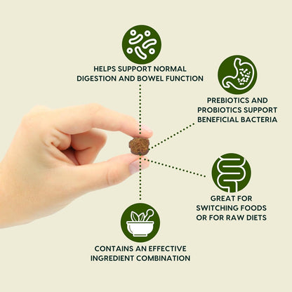 ARK NATURALS Gentle Digest Soft Chews, Vet Recommended Dog and Cat Prebiotics and Probiotics, Digestive and Immune System Support, 120 Count, greens, 326002