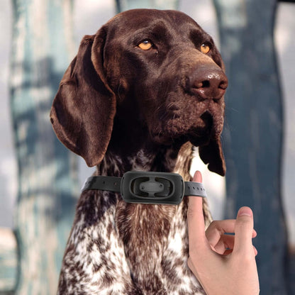 Dog Training Collar with Remote 2000ft, 100% Waterproof Shock Collar for Large Medium Dogs(8-150lbs) with Beep Vibration Shock, Rechargeable Electric Dog Collar with Intensity Dial Knob