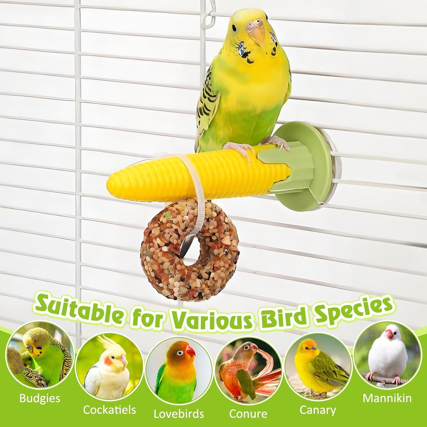 kathson Parakeet Treats, 8 Pcs Donut Shaped Bird Snacks, Grain Fruits Vegetables Herbs Mixed Parrot Treats, Natural Cockatiel Food for Conure Budgie Canary Chewing