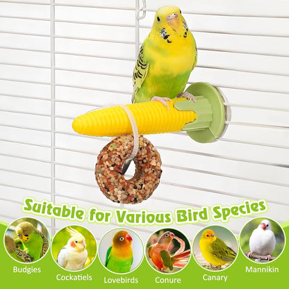 kathson Parakeet Treats, 8 Pcs Donut Shaped Bird Snacks, Grain Fruits Vegetables Herbs Mixed Parrot Treats, Natural Cockatiel Food for Conure Budgie Canary Chewing