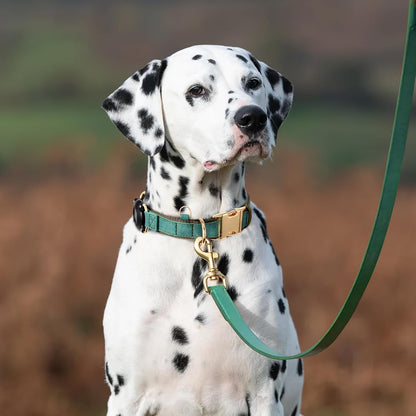 Airtag Dog Collar - Leather Dog Collar with Airtag Holder, IP 68 Waterproof Air Tag Dog Collar, Quick Release Dog Collar Metal Buckle for Large Medium Small Dogs (Green, S, 12.75"–14.75")