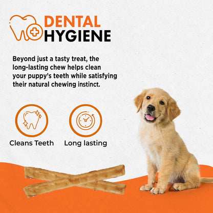Canine Naturals Puppy Chicken and Rice Chew - Rawhide Free Puppy Treats - Made with USA Chicken - All-Natural & Easily Digestible - 10 Pack of 5-Inch Sticks for Puppies