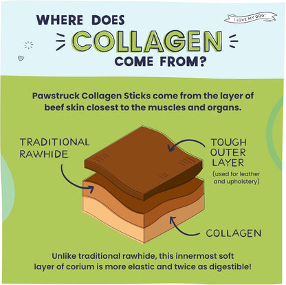 Pawstruck All Natural 11-12" Roasted Collagen Sticks for Dogs – Low Odor & Long-Lasting Bully Stick & Rawhide Alternative, Single Ingredient, Vet Approved – 5 Pack