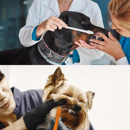 200 Pcs Dog Toothbrush Cat Tooth Brushes Bulk, Double Sided Brushing Kit, Teeth Cleaning Kit Soft Bristles Long Handle, Pet Tooth Brush for Small to Large Dog, Cat, Puppy & Kitten, 10 Colors