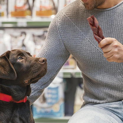 Jack&Pup 6" Braided Beef Collagen Sticks for Dogs - Rawhide Free Dog Chews Long Lasting Collagen Chews for Dogs - Bully Sticks Alternative (1 Pack)