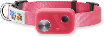 MS-5 Econ Series Automatic Pet Door Collar by High Tech Pet Brand - Value Priced Dependable Performance - Waterproof - Rugged - Battery Included - USA Support (Pink)