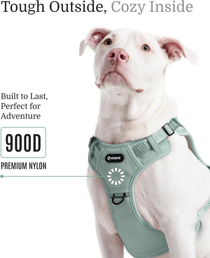 2025 New Edition, Fei & Eve Classic Dog Harness - Quick-Release Buckles | 3-Point No-Pull Control | Heavy-Duty 900D Nylon | Dual Safety Handles | Breathable Mesh | Adjustable Fit | Medium,Green