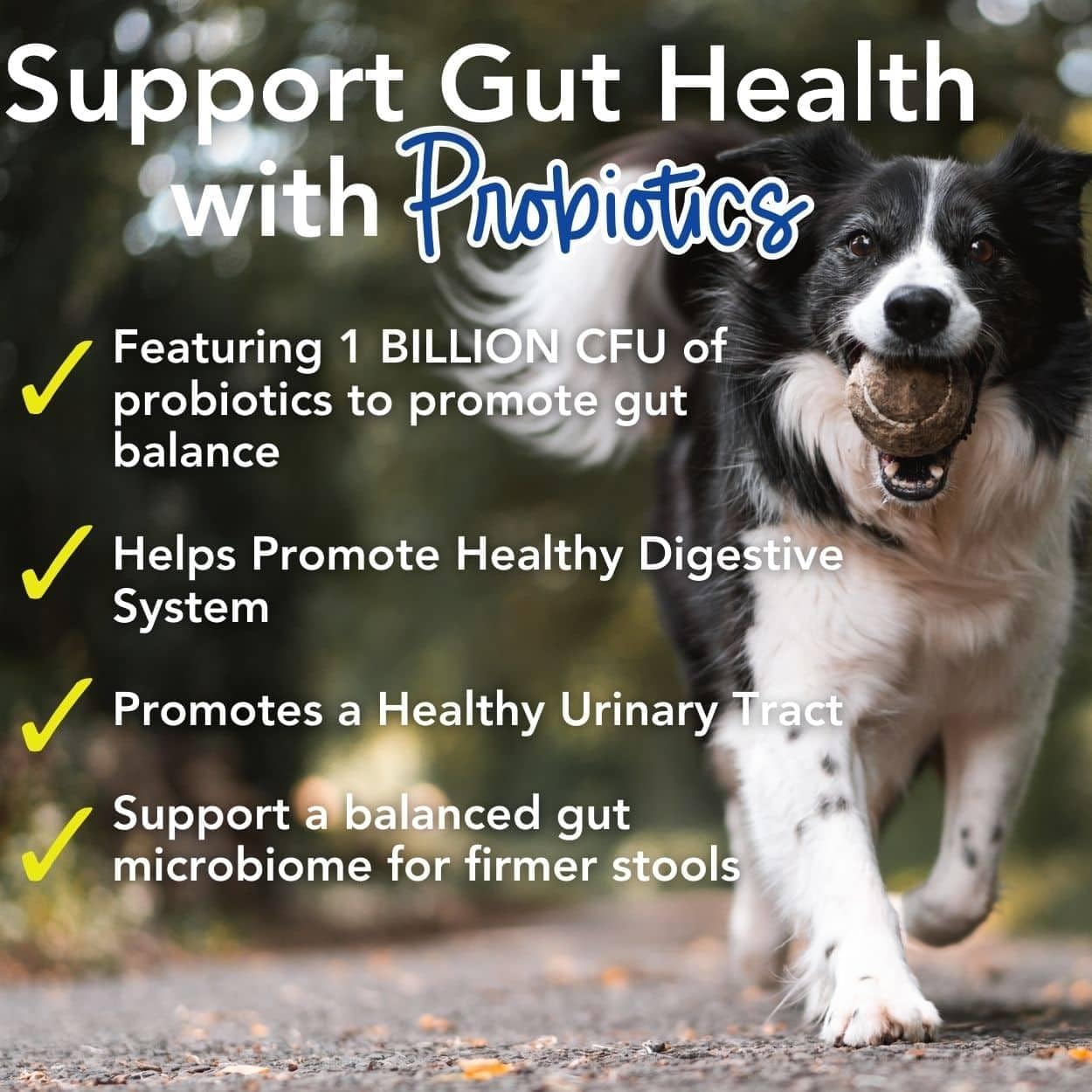 iHeartDogs 24-in-1 Adult Dog Multivitamin Daily+ Total Health Support Powder with Probiotics, Omega-3, Glucosamine, Mushrooms & Bone Broth - 60 Servings