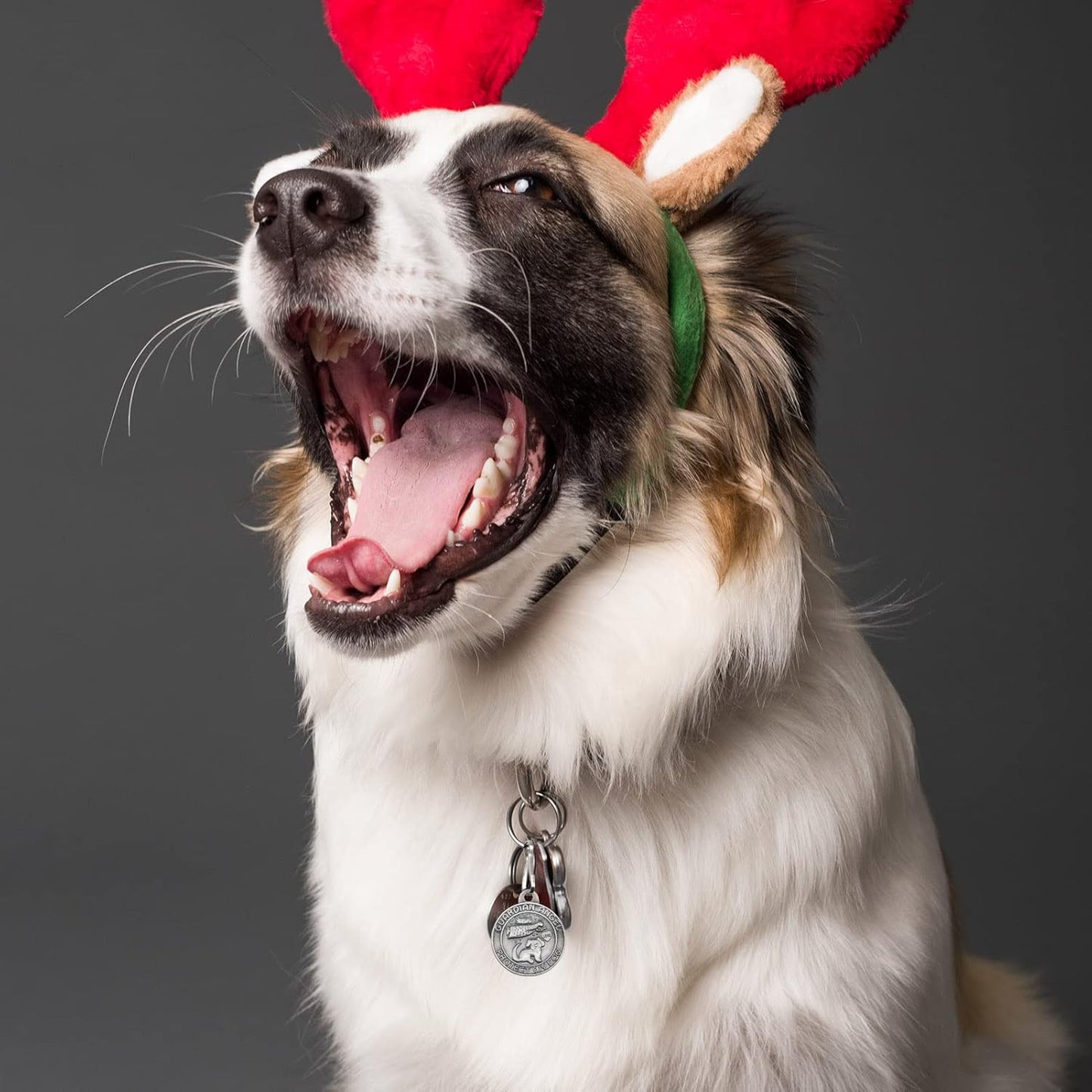 Pet Tags Engraved 2 Packs St Francis of Assisi Cats dogs Medal Pendant Collar Charm Protect My Pet