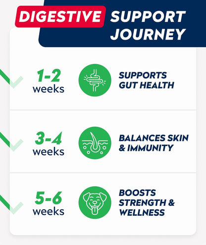 STRELLALAB Dog Probiotics for Digestive Health & Enzymes - Diarrhea, Gas, Upset Stomach Relief & Season Allergy - Pet Probiotics for Dogs- Chews for Digestion - Gut Health for Dogs (60Ct)