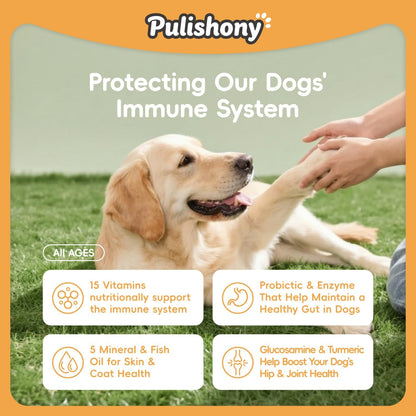 Multivitamin Treats for Dogs - Glucosamine Chondroitin for Joint Support + Digestive Enzymes & Probiotics - Grain Free Dog Vitamin for Skin & Coat + Immune Health+Liver Health - Chicken Flavor - 90ct