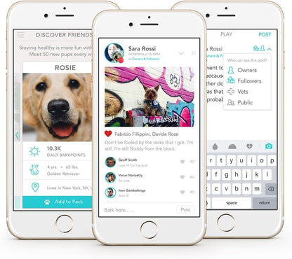 FitBark 2 Dog Activity Monitor | Health & Fitness Tracker for Dogs | Waterproof, Small & Leightweight (10 g) | Not a GPS Tracker