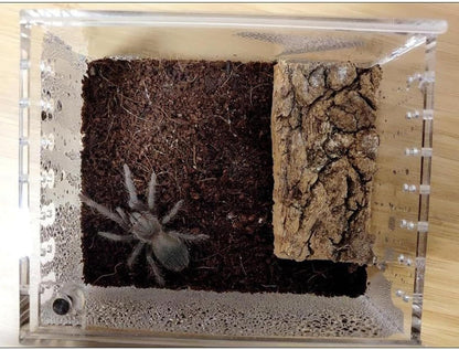 Jumping Spider Habitat,Transparent Breeding Feeding Tank,Acrylic Small Terrarium - for Lizard Frog Gecko Snail Turtle Observation Breeding Feeding