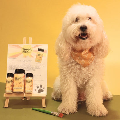 Simply Life Pets Kefir Powder Probiotic for Dogs & Cats, Freeze-Dried – Natural Digestive & Immune Support (1oz)