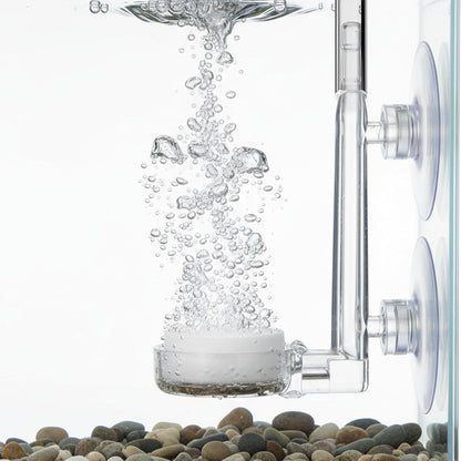 1 Inch Small Fish Tank Air Bubble Stone Aquarium Air Stone Disc High Dissolved Bubbler Airstone for Fish Tank Small Bucket(No Pumps and Tube)