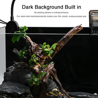 Nano Nature Aquarium Kit,Clear Glass Desktop Fish Tank with with Waterfall Filter and Light for Beginners and Children to Keep Betta Fish, Goldfish, Shrimp, and Aquatic Plants (Black, 2.8 Gallon)