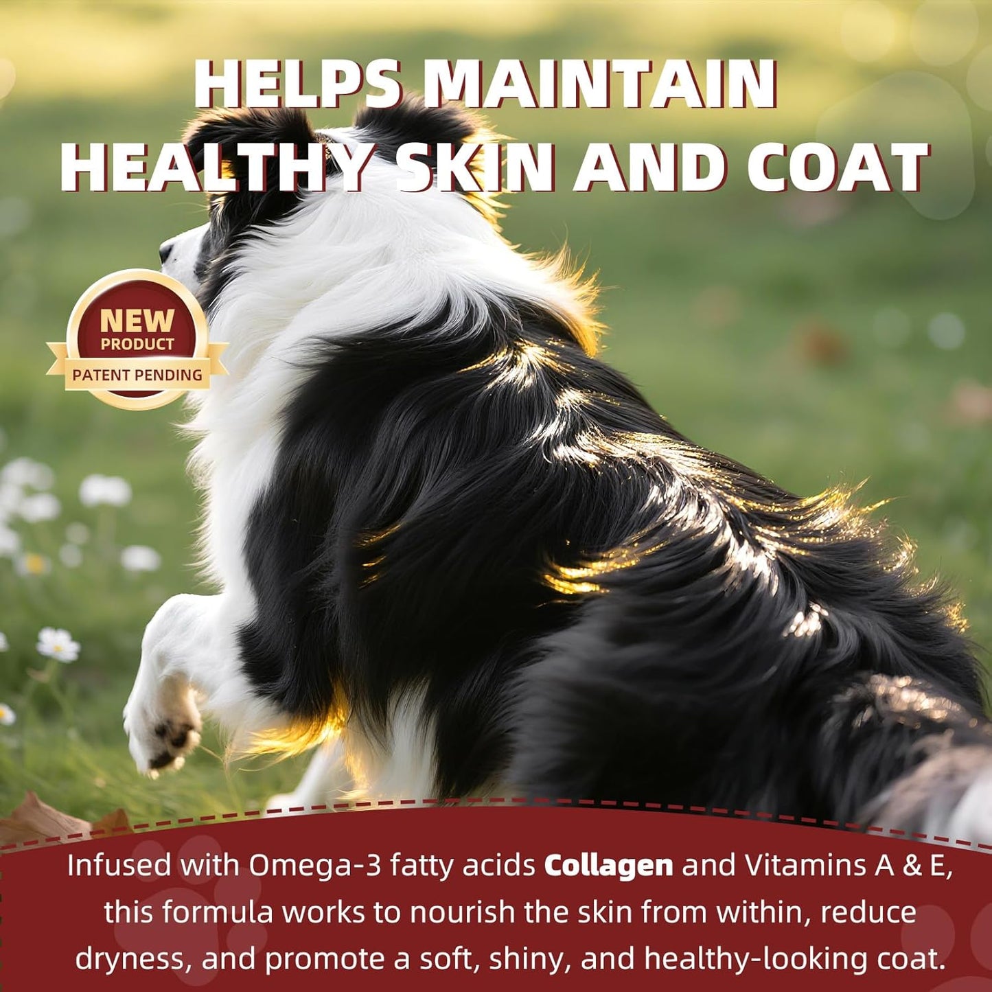 Dembonz Joint Supplement for Dogs – Hip and Joint Chews for Dogs, Glucosamine, Chondroitin, Omega 3, Collagen & Probiotics, Supports Digestion, Immunity, Fur, and Oral, 120 Count