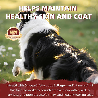 Dembonz Joint Supplement for Dogs – Hip and Joint Chews for Dogs, Glucosamine, Chondroitin, Omega 3, Collagen & Probiotics, Supports Digestion, Immunity, Fur, and Oral, 120 Count