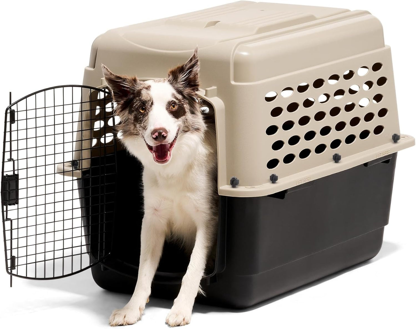 Petmate Vari Dog Kennel - Portable Dog Carriers & Crates for Medium Dogs, Airline-Friendly, Durable Plastic, Pet Carrier For Home and Travel, 32 Inches, Taupe and Black