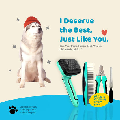 4-in-1 Dog & Cat Grooming Kit: Includes Pet Comb, Nail Clippers, Deshedding & Cleaning Brushes