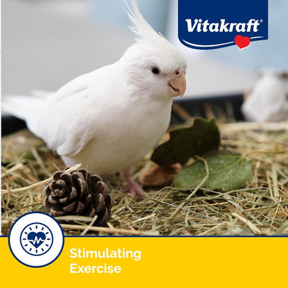 Vitakraft Crunch Sticks Cockatiel Treat - Apple and Honey - Pet Bird Treat Toy
