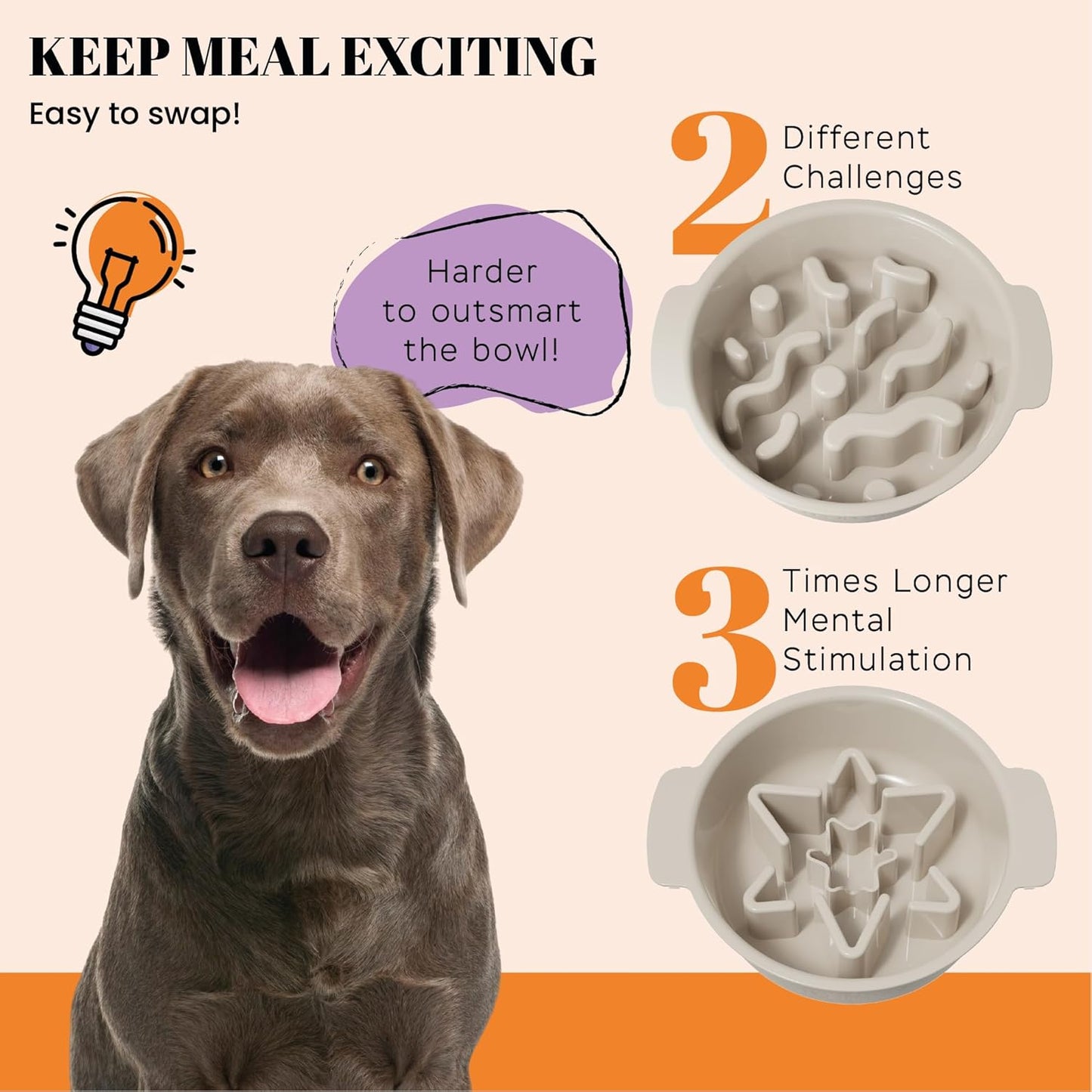 AVERYDAY Slow Feeder Dog Bowl Set with 1 Base and 3 Puzzle Inserts Customizable Design BPA-Free and Dishwasher Safe for Small Medium Large Dogs