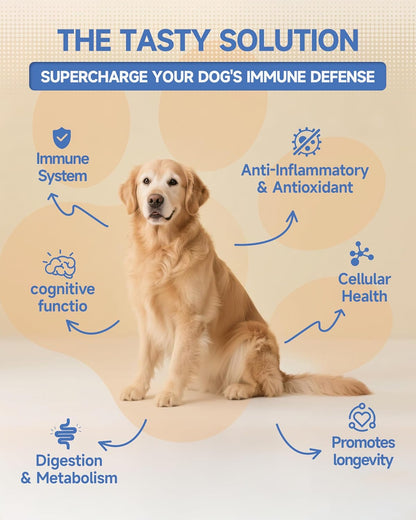 Dog Mushroom Drops + Dog Collagen Drops | Organic Mushroom Supplement & Liquid Collagen for Cats | Supports Joint, Immune, Skin & Coat Health | Roast Chicken Flavor | for All Ages