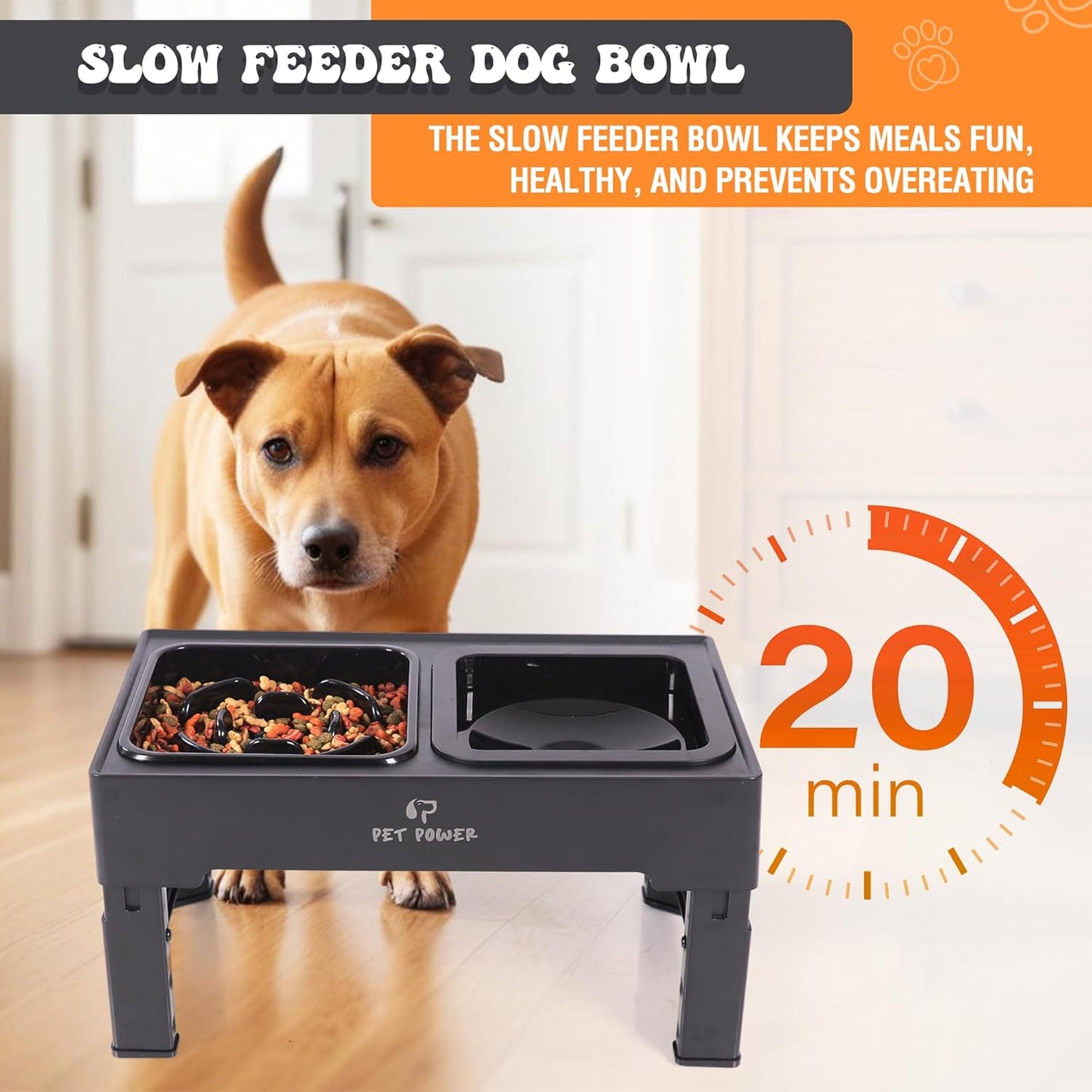 Dog Bowls Elevated, 4 Adjustable Height Raised Dogs Bowl with No-Spill Water Dish & Slow Feeder, Non-Slip Food & Water Bowl for Small Medium Large Dogs - Elevated Dog Bowls Large Breed