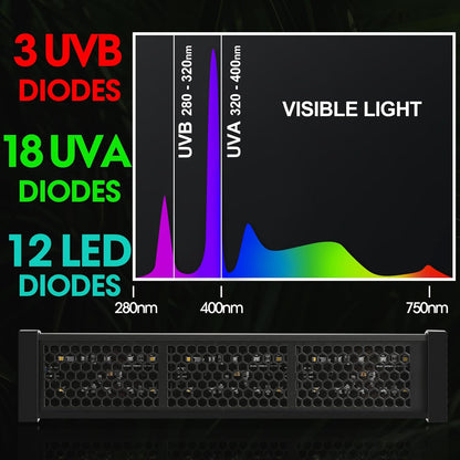 Thermometer Hygrometer with Dehumidifier Ventilation Fan
