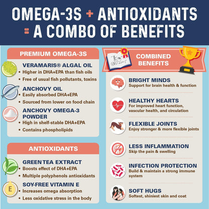 Bernie's OMG! Omegas Chews for Dogs - 5X Extra Strength DHA+EPA, Fish Oil, Healthy Skin & Coat, Allergy Relief, Joint Supplement (Salmon Flavor)