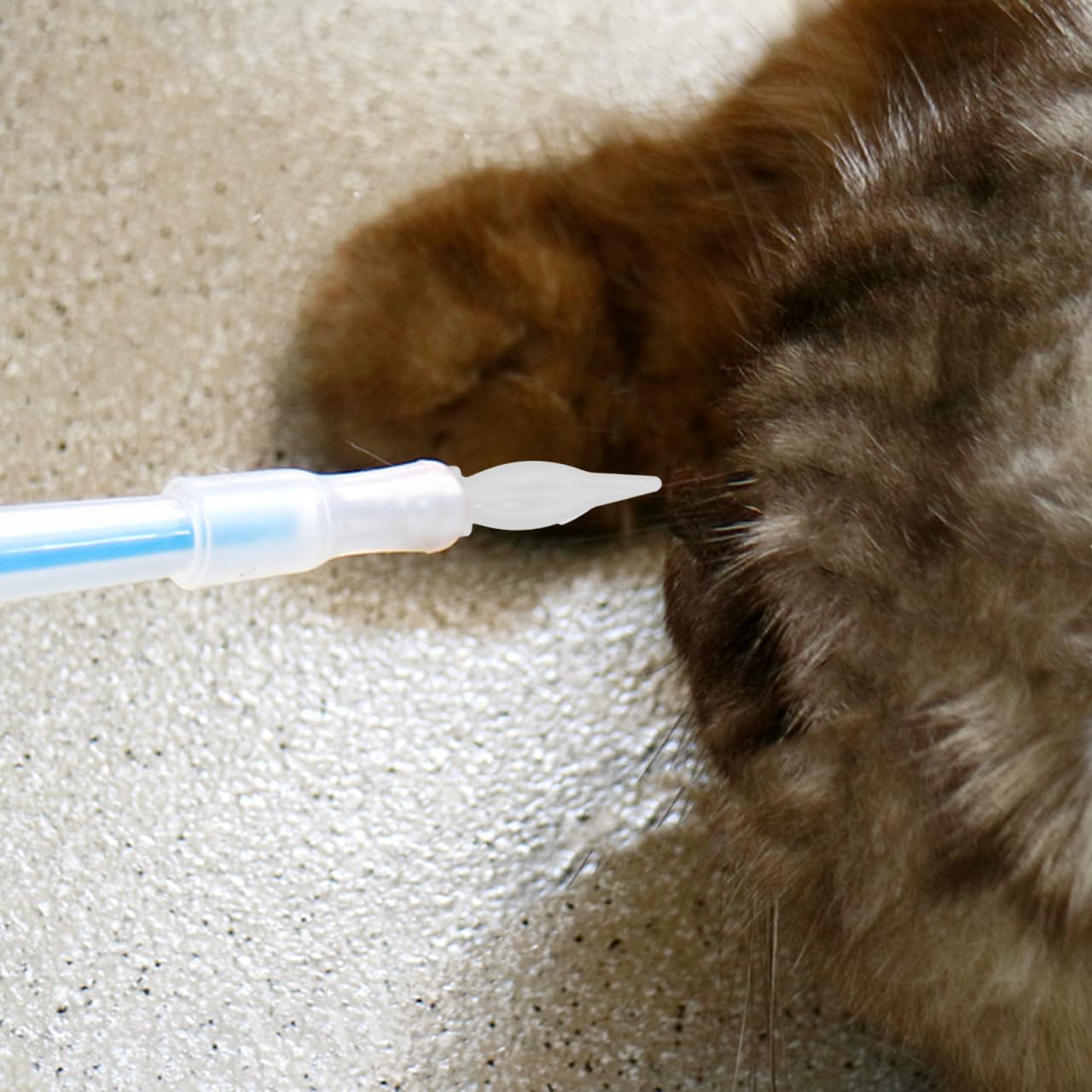 Mikikit Kitten Feeding Nipples Set 20Pcs Silicone Nursing Supplies for Newborn Kittens and Puppies Pet Feeding Pacifiers for Comfortable and Easy Feeding