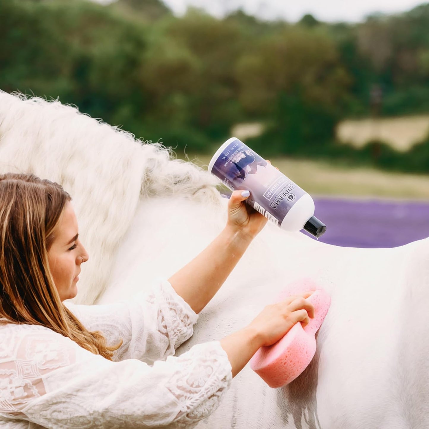 The Original – Equiderma Arnica Horse Shampoo, 32 oz | Sulfate-Free, Organic Herbal Formula for Healthy Skin, Silky Coat & Brilliant Shine | Natural Grooming Care