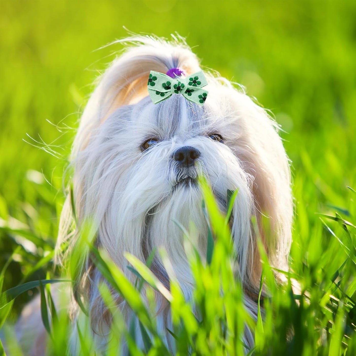 20pc Green Small Dog Hair Bows with Rubber Bands, Bulk Green Puppy Dog Hair Bows, Mix Handmade Cute Dog Gooming Flower Ball Bows for Holiday Yorkie Dog Hair Accessories