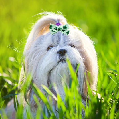 20pc Green Small Dog Hair Bows with Rubber Bands, Bulk Green Puppy Dog Hair Bows, Mix Handmade Cute Dog Gooming Flower Ball Bows for Holiday Yorkie Dog Hair Accessories