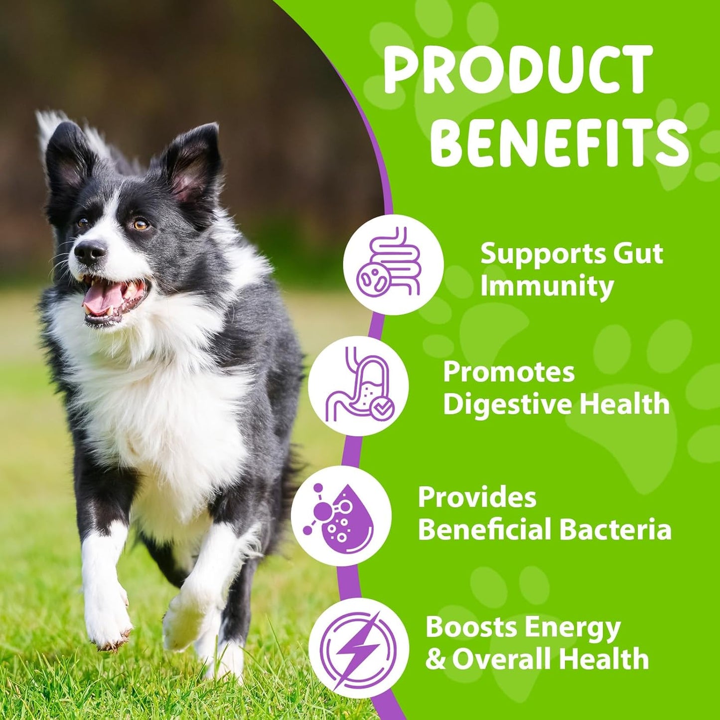 Dog Probiotic, Liquid Probiotics for Dogs, Prebiotic & Digestive Enzymes, Dogs Probiotics Supplement Help Digestive Health, Immune Support, Diarrhea Relief, Dog Herbal Supplements 60ml