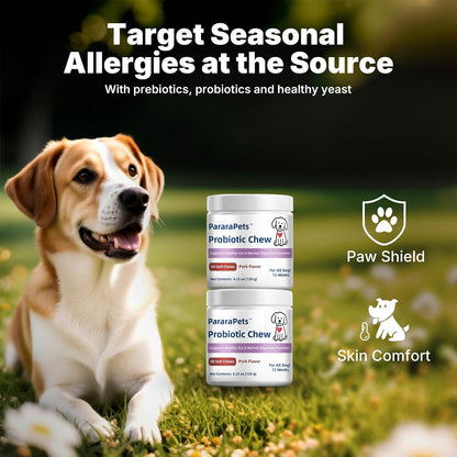 Probiotics for Dogs,Dog Gut Health Probiotics,Gastrointestinal Health Promotes Digestion and Nutrient Absorption, 60 Soft Chews