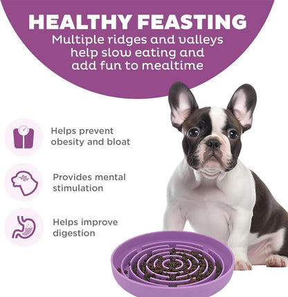 Slow Feeder Dog Bowls, Interactive Silicone Dog Feeding Bowls for Dogs & Cats, Slow Feeder Non-Slip with Suction Cups, Anti-Choking, Non BPA, Reduces Boredom, Anxiety, Dishwasher Microwave Safe