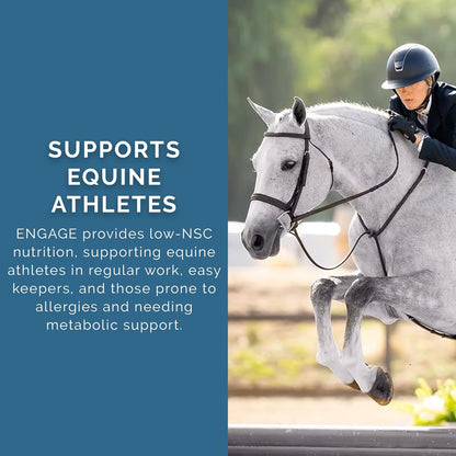 PRO Series Engage Cool Calorie Base Equine Feed, 40lbs - with PROeq for Joint, Gut, Brain & Body Health - Ideal for Easy Keepers - Low NSC, USDA Organic & Alfalfa-Free