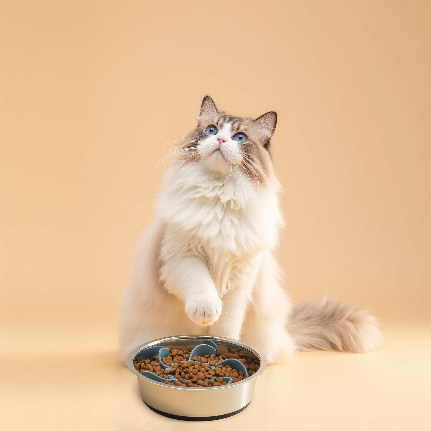 2 in 1 Slow Feeder Dog Bowl with Removeable Silicone Feeder Insert, Stainless Steel Pet Bowl, Non-Slip Rubber Base for Small Medium Dog Cat (3.2 Cups)