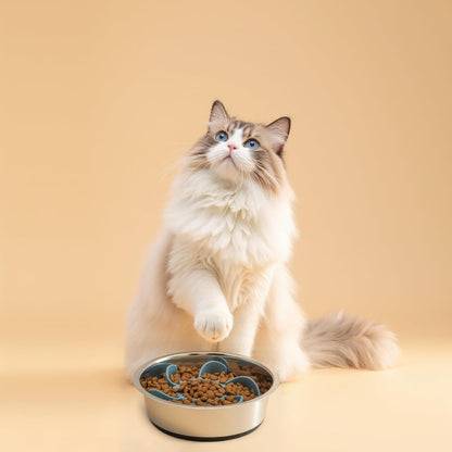 2 in 1 Slow Feeder Dog Bowl with Removeable Silicone Feeder Insert, Stainless Steel Pet Bowl, Non-Slip Rubber Base for Small Medium Dog Cat (3.2 Cups)