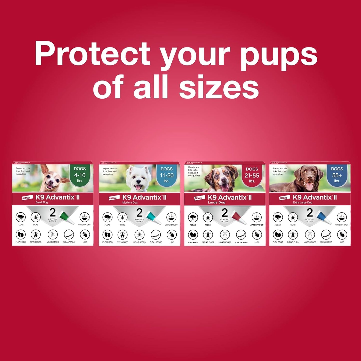 K9 Advantix II XL Dog Vet-Recommended Flea, Tick & Mosquito Treatment & Prevention | Dogs Over 55 lbs. | 4-Mo Supply