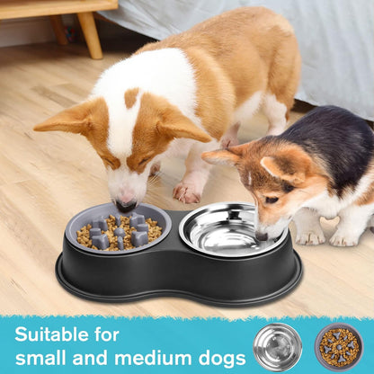 Dog Bowls Double Dog Water and Food Bowls Stainless Steel Bowls with Non-Slip Resin Station, Pet Feeder Bowls for Puppy Medium Dogs Cats